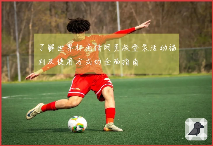 了解世界杯竞猜网页版登录活动福利及使用方式的全面指南