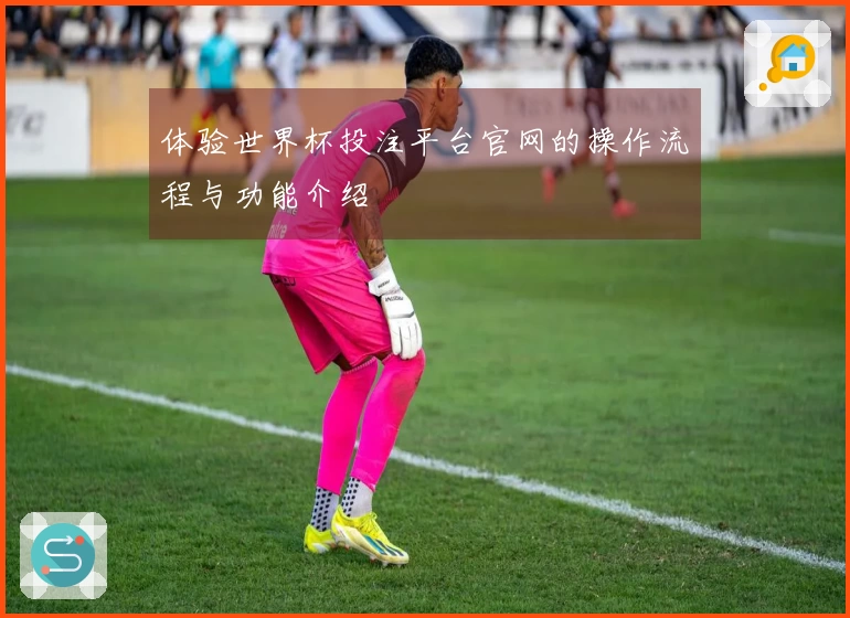 体验世界杯投注平台官网的操作流程与功能介绍