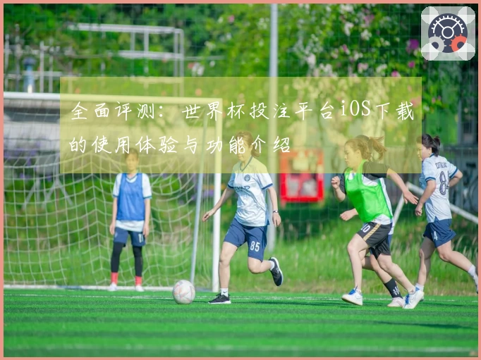 全面评测：世界杯投注平台iOS下载的使用体验与功能介绍