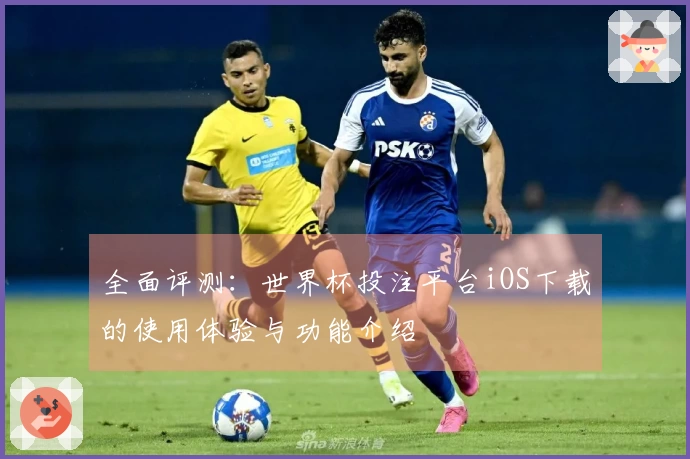 全面评测：世界杯投注平台iOS下载的使用体验与功能介绍
