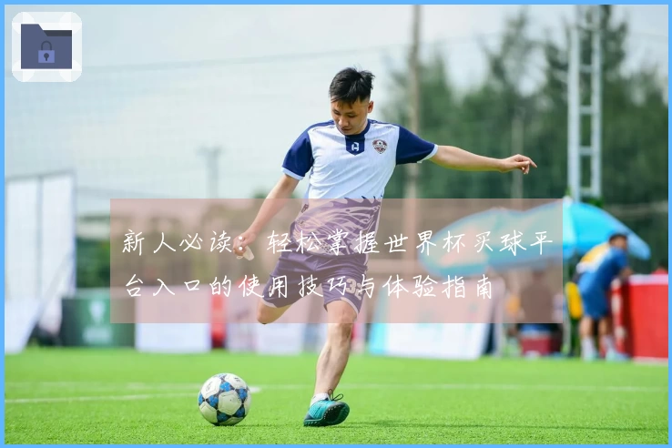 新人必读：轻松掌握世界杯买球平台入口的使用技巧与体验指南